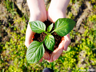 植栽イメージ｜ザ・パークハウス豊中